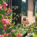 Casa Prana Lumiar